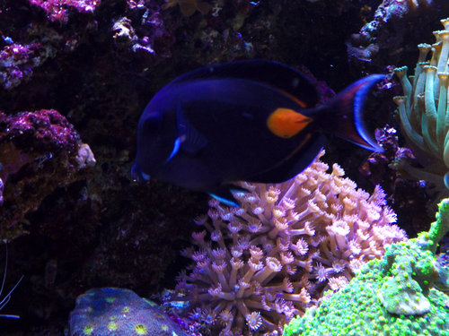 DSCF9667.jpg