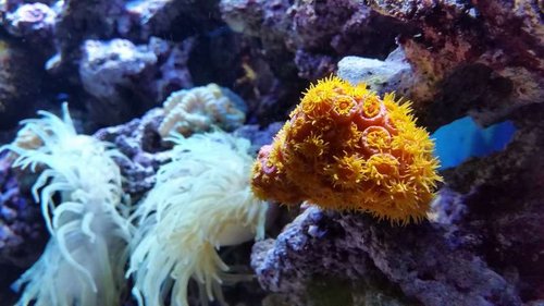 2014-09-13 21.43.54.jpg