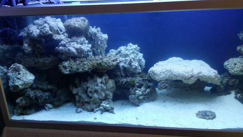 20140916_144002.jpg