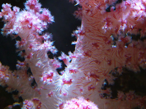 DSCF9692.jpg