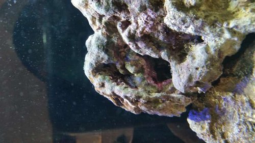 20140918_181539.jpg