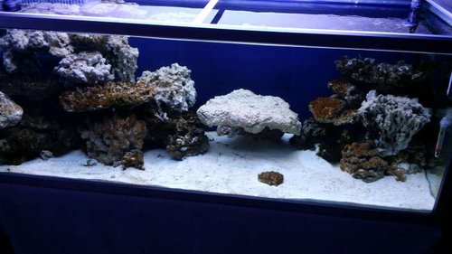 20140918_202605.jpg