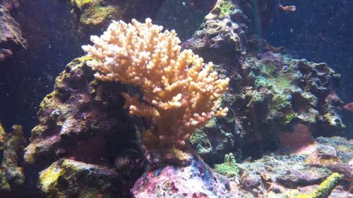 20140920_192945.jpg