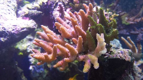 20140920_193006.jpg