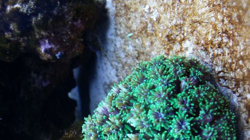 20140922_230217.jpg