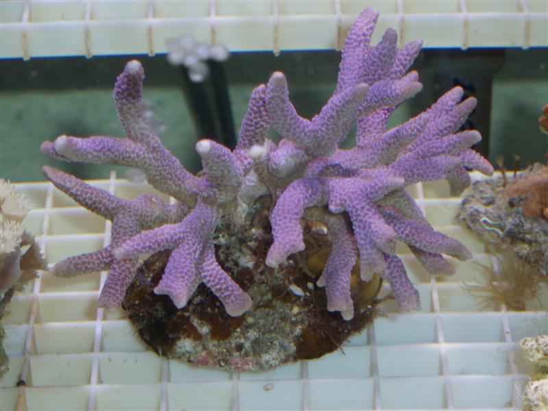 P8310057 (Medium).JPG