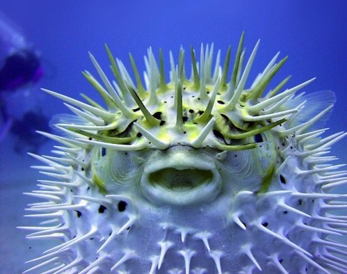 image.jpg (109.82 KiB) Vist 2130 gange Sådan ku jeg godt se ud mandag morgen