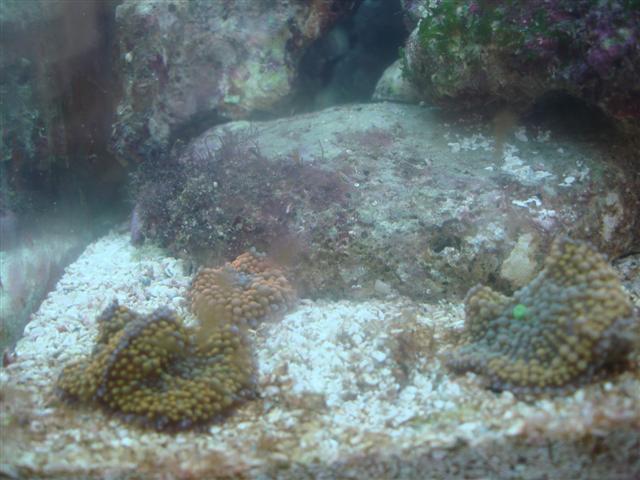 DSC00192 (Small).JPG