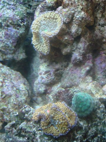 DSC00175 (Small).JPG