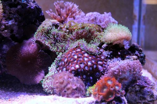 IMG_9220.JPG