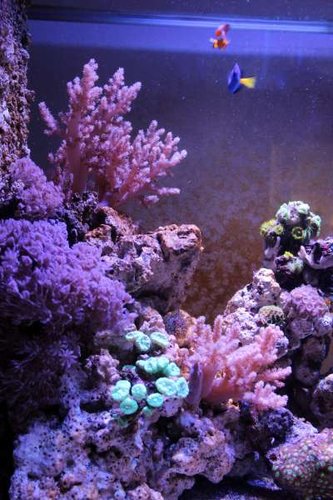 IMG_9229.jpg