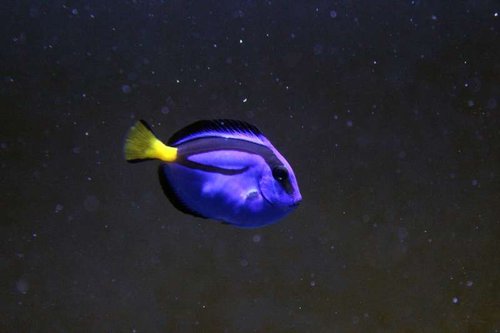 IMG_9244.JPG
