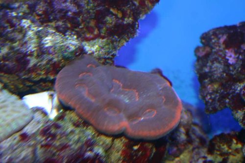 IMG_0021.JPG