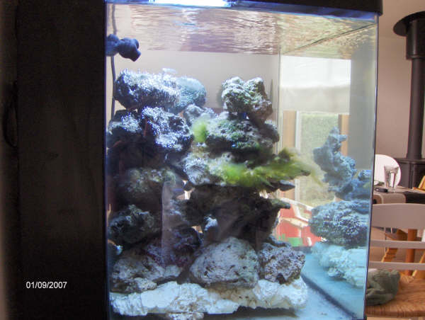 2007251.jpg