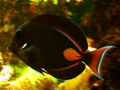 DSCF9709.jpg