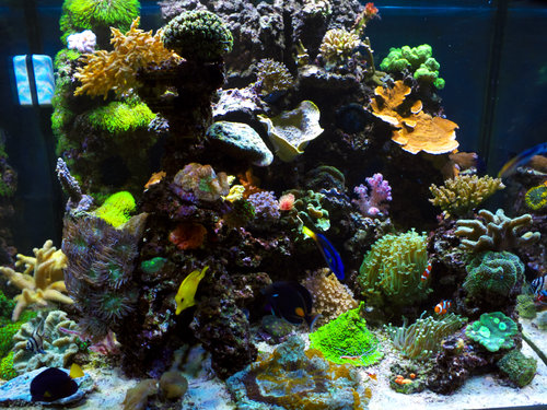 DSCF9693.jpg