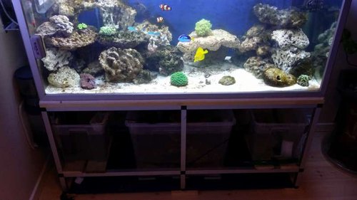 20140929_202846.jpg