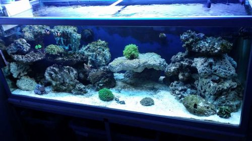 20141004_234001.jpg