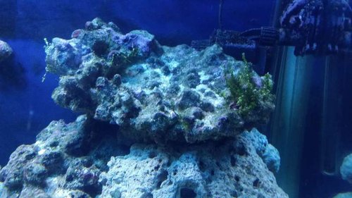 20141004_234007.jpg