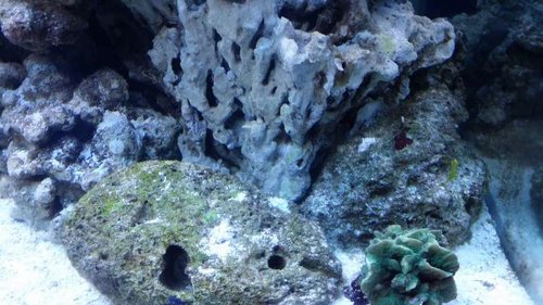 20141004_234014.jpg