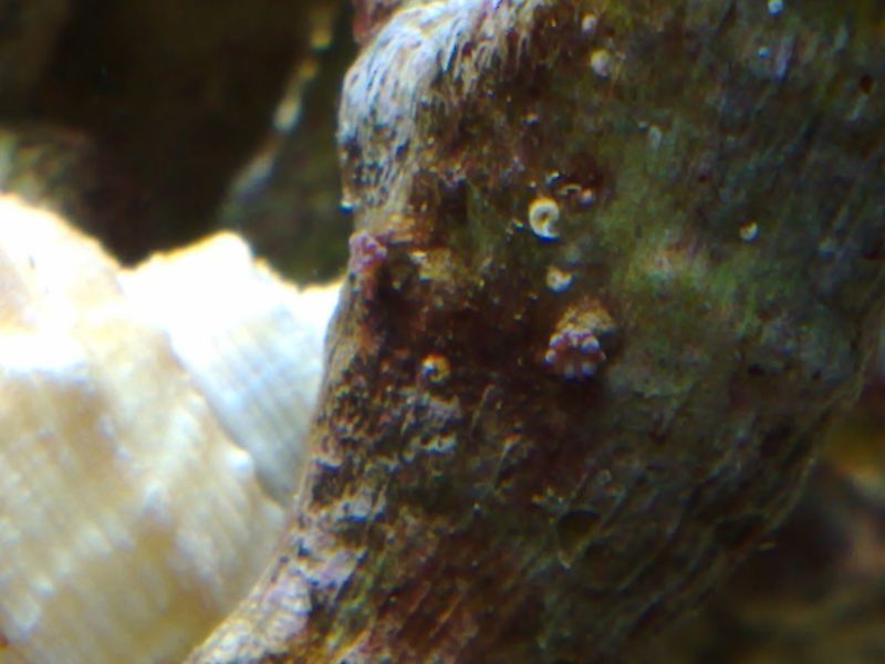 04092007837.jpg