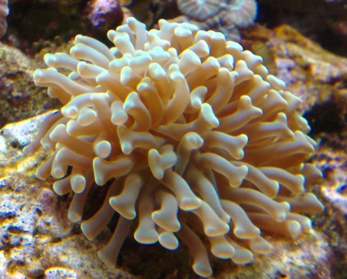 04092007844.jpg