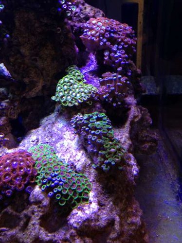 2014-10-10 18.29.05.jpg