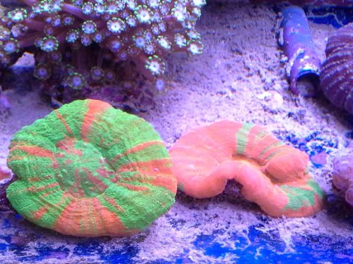 20141006_143024.jpg