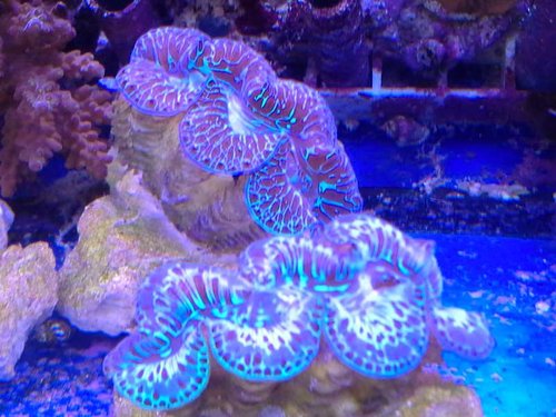 20141006_142623.jpg