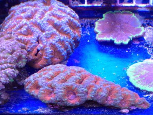 20141006_143031.jpg
