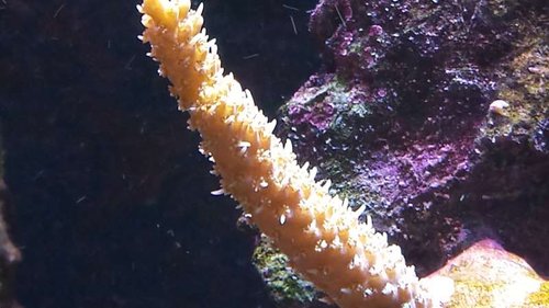 20141011_162602.jpg