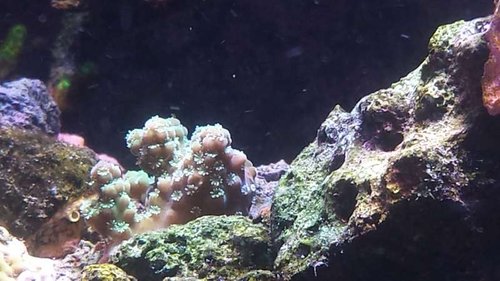 20141011_162636.jpg