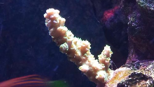 20141011_162613.jpg