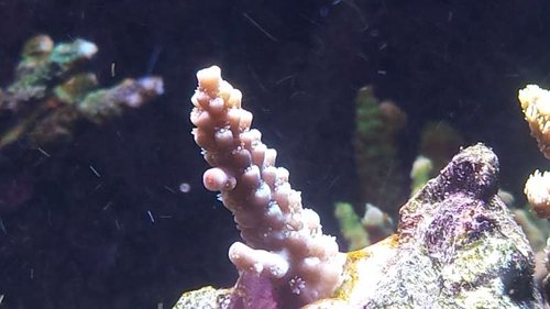 20141011_162629.jpg