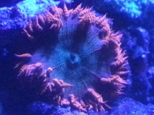 20140827_223415.jpg