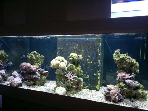 FTS