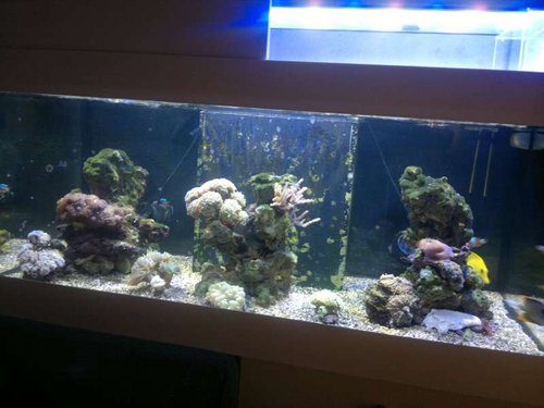 FTS