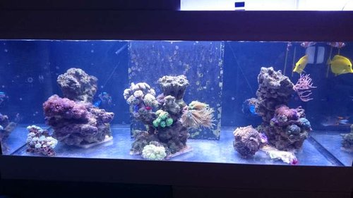 FTS