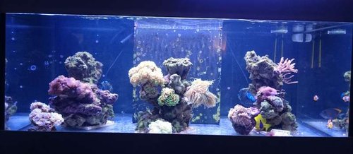 FTS