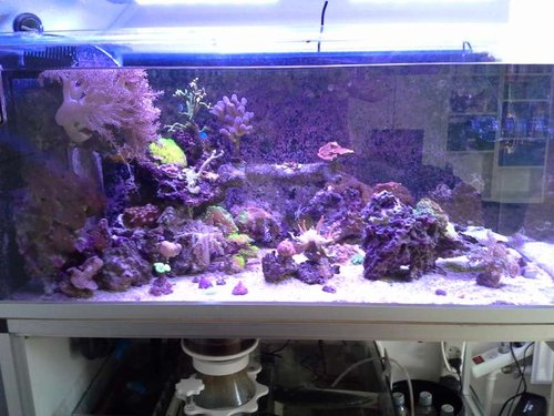 20141016_113115.jpg