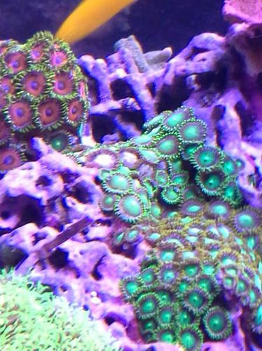 20141016_170442.jpg