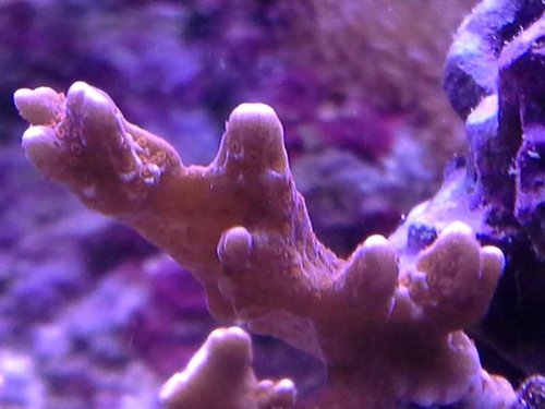 20141015_161548.jpg