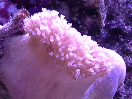 20141015_161425.jpg