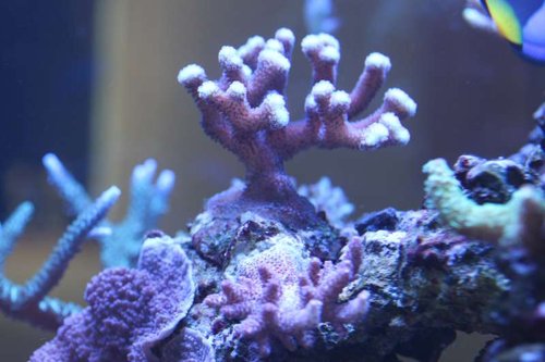 IMG_0100.JPG