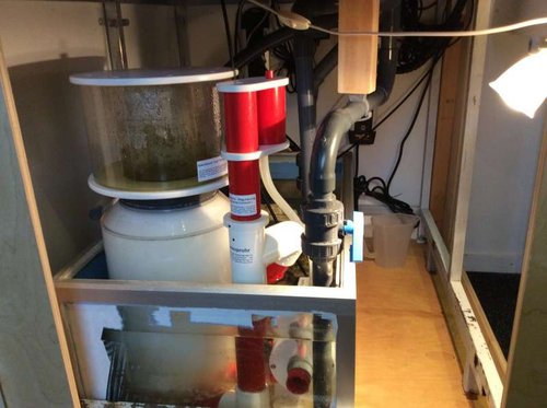 Sump med Bubbleking 250