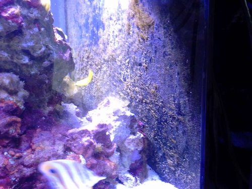 20141020_170847.jpg