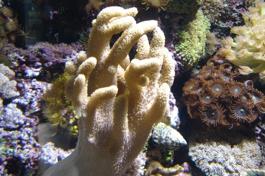 smalldsc01755_733.jpg