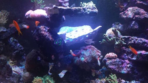 20141021_193127.jpg