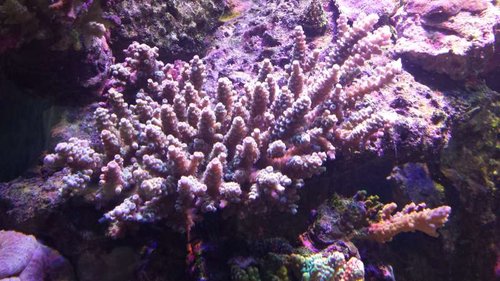 20141022_150649.jpg
