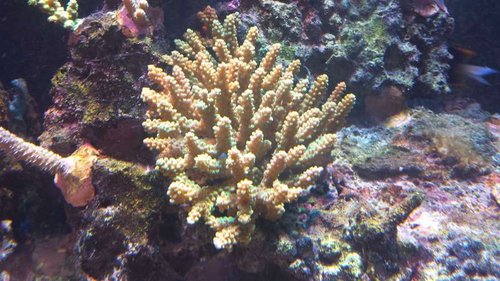 20141022_150656.jpg